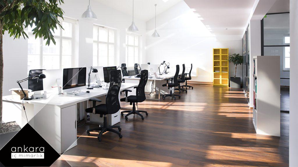 yeşil bitkilerle ofis canlandırma yolları