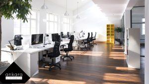 Doğal Işık ve Yeşil Bitkilerle Ofis Canlandırma Yolları