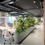 Ofis Tasarımında Işık Nasıl Optimize Edilir?